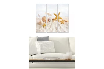 Canvastavla i trä 3-delar 50x70 cm - Strandmotiv med snäckor och sjöstjärnor - Guld / Beige / Vit - Inredning - Tavlor & posters - Canvastavla