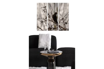 Canvastavla i trä 3-delar 50x70 cm - Svart fågel sittande på en gren med bär - Svart / Grå / Brun - Inredning - Tavlor & posters - Canvastavla