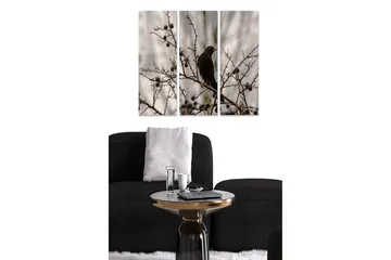 Canvastavla i trä 3-delar 50x70 cm - Svart fågel sittande på en gren med bär - Svart / Grå / Brun - Inredning - Tavlor & posters - Canvastavla
