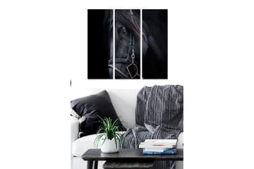 Canvastavla i trä 3-delar 50x70 cm - Svart hästporträtt med fokus på ögonen - Svart / Grå / Brun - Inredning - Tavlor & posters - Canvastavla