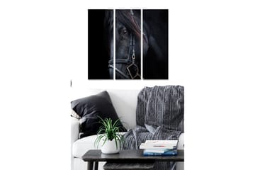 Canvastavla i trä 3-delar 50x70 cm - Svart hästporträtt med fokus på ögonen - Svart / Grå / Brun - Inredning - Tavlor & posters - Canvastavla