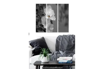 Canvastavla i trä 3-delar 50x70 cm - Svartvit bild av en ros med en bi som sitter på blomman - Vit / Svart / Grå - Inredning - Tavlor & posters - Canvastavla