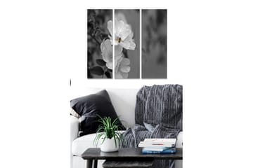 Canvastavla i trä 3-delar 50x70 cm - Svartvit bild av en ros med en bi som sitter på blomman - Vit / Svart / Grå - Inredning - Tavlor & posters - Canvastavla
