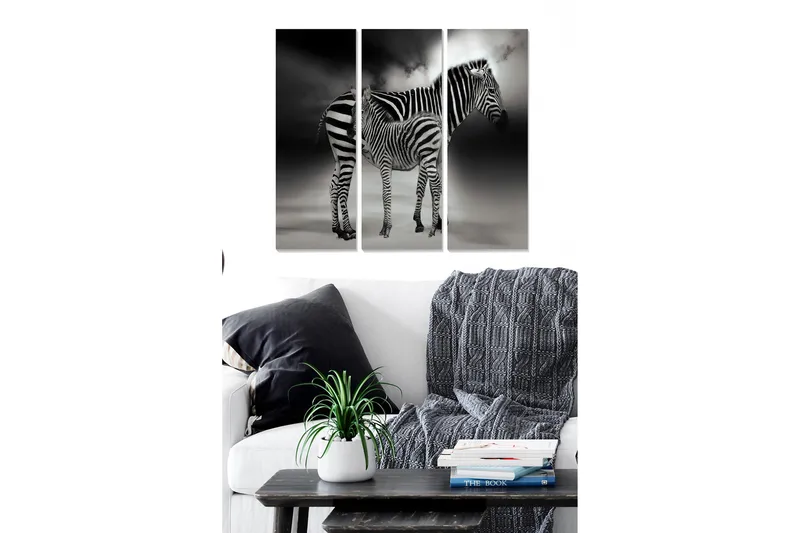 Canvastavla i trä 3-delar 50x70 cm - Svartvit zebra med dramatiska skuggor, Svart / Vit