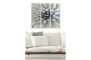 Canvastavla i trä 3-delar 50x70 cm - Symmetrisk komposition av agaveblad - Grön / Grå / Beige - Inredning - Tavlor & posters - Canvastavla