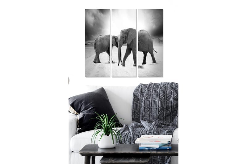 Canvastavla i trä 3-delar 50x70 cm - Tre elefanter i en svartvit komposition, Svart / Vitt / Grått