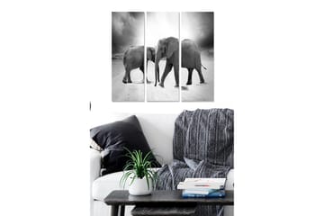 Canvastavla i trä 3-delar 50x70 cm - Tre elefanter i en svartvit komposition - Svart / Vitt / Grått - Inredning - Tavlor & posters - Canvastavla