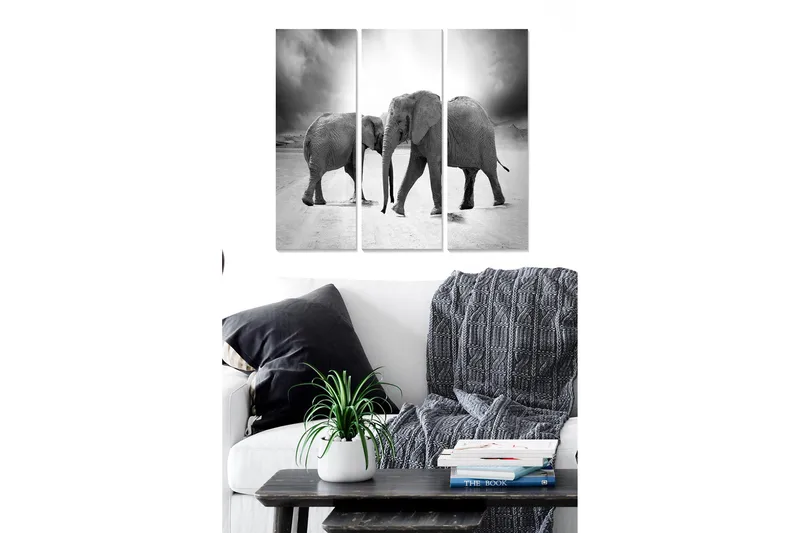 Canvastavla i trä 3-delar 50x70 cm - Tre elefanter i en svartvit komposition, Svart / Vitt / Grått