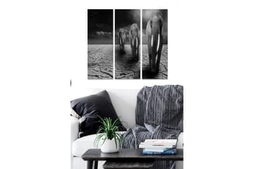 Canvastavla i trä 3-delar 50x70 cm - Tre elefanter som går över en sprucken och torr markyta - Svart / Grå / Vit - Inredning - Tavlor & posters - Canvastavla