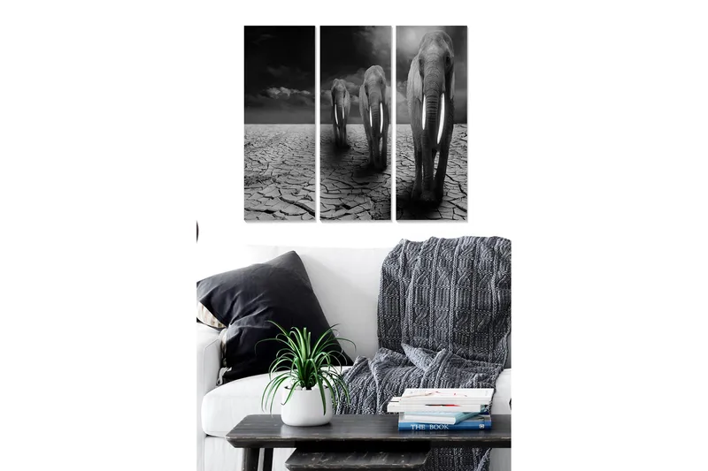 Canvastavla i trä 3-delar 50x70 cm - Tre elefanter som går över en sprucken och torr markyta, Svart / Grå / Vit
