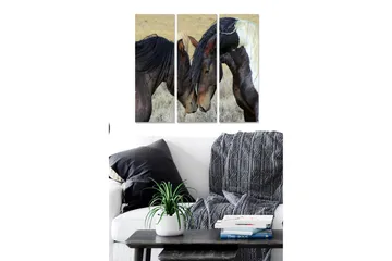 Canvastavla i trä 3-delar 50x70 cm - Två hästar som försiktigt lutar sina huvuden mot varandra - Mörkbrun / Ljusbrun / Vit - Inredning - Tavlor & posters - Canvastavla