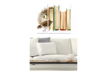Canvastavla i trä 3-delar 50x70 cm - Uggla som kikar fram bakom böcker - Brun / Gul / Röd - Inredning - Tavlor & posters - Canvastavla