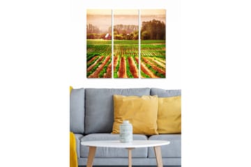 Canvastavla i trä 3-delar 50x70 cm - Vacker landskapsvy med vinfält och ett rött hus i bakgrunden - Grön / Brun / Röd - Inredning - Tavlor & posters - Canvastavla