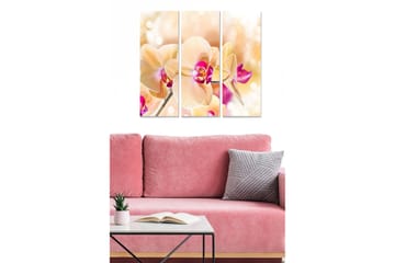 Canvastavla i trä 3-delar 50x70 cm - Vacker orkidé med mjuka, ljusa toner - Ljusgul / Rosa / Lila - Inredning - Tavlor & posters - Canvastavla