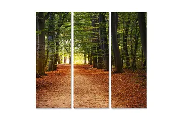 Canvastavla i trä 3-delar 50x70 cm - Vacker skogsväg omgiven av gröna träd och höstlöv - Grön / Orange / Brun - Inredning - Tavlor & posters - Canvastavla