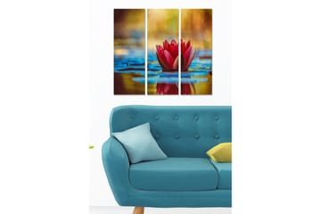 Canvastavla i trä 3-delar 50x70 cm - Vacker vattenlilja som blommar på en spegelblanka yta - Röd / Blå / Gul - Inredning - Tavlor & posters - Canvastavla