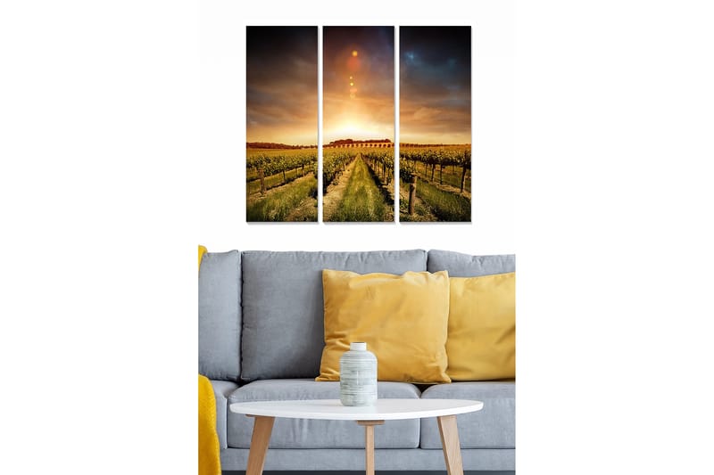 Canvastavla i trä 3-delar 50x70 cm - Vacker vinodling under en solnedgång, Grön / Guld / Blå