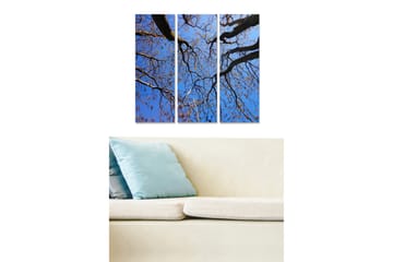 Canvastavla i trä 3-delar 50x70 cm - Vacker vy av trädtoppar mot en klarblå himmel - Blå / Brun / Guld - Inredning - Tavlor & posters - Canvastavla