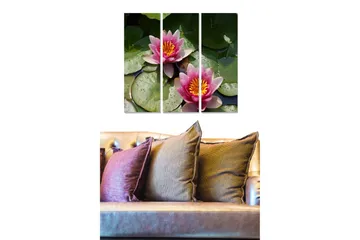 Canvastavla i trä 3-delar 50x70 cm - Vackra näckrosor i en stilla vattenyta - Rosa / Grön / Gul - Inredning - Tavlor & posters - Canvastavla