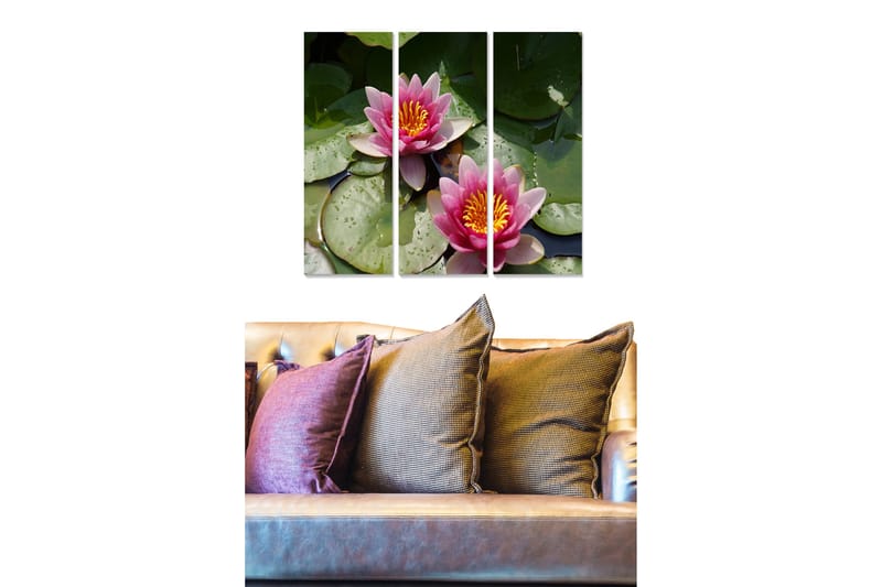 Canvastavla i trä 3-delar 50x70 cm - Vackra näckrosor i en stilla vattenyta, Rosa / Grön / Gul