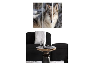 Canvastavla i trä 3-delar 50x70 cm - Varg i naturlig miljö med intensiv blick - Grå / Beige / Brun - Inredning - Tavlor & posters - Canvastavla