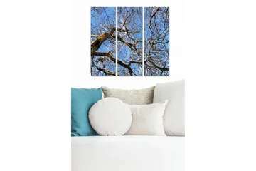 Canvastavla i trä 3-delar 50x70 cm - Vinterlandskap med snöklädda trädgrenar mot en klarblå himmel - Blå / Vit / Brun - Inredning - Tavlor & posters - Canvastavla