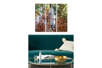 Canvastavla i trä 3-delar 50x70 cm - Vit häst delvis dold bland bruna och gröna växter - Vit / Brun / Grön - Inredning - Tavlor & posters - Canvastavla