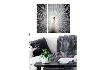 Canvastavla i trä 3-delar 50x70 cm - Vit påfågel med strålar av ljus bakom sig - Vit / Grå / Svart - Inredning - Tavlor & posters - Canvastavla