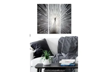 Canvastavla i trä 3-delar 50x70 cm - Vit påfågel med strålar av ljus bakom sig - Vit / Grå / Svart - Inredning - Tavlor & posters - Canvastavla