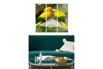 Canvastavla i trä 3-delar 50x70 cm - Par av färgglada papegojor som visar ömhet mot varandra - Gul / Grön - Inredning - Tavlor & posters - Canvastavla