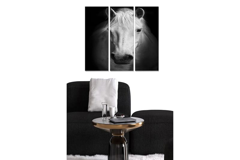 Canvastavla i trä 3-delar 50x70 cm - Porträtt av en vit häst i svartvitt, Vit / Svart