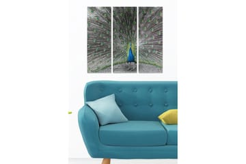 Canvastavla i trä 3-delar 50x70 cm - Praktfull påfågel med utspridda fjädrar - Blå / Grön / Grå - Inredning - Tavlor & posters - Canvastavla