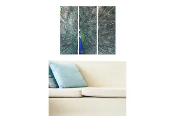 Canvastavla i trä 3-delar 50x70 cm - Praktfull påfågelsfjäder med iriserande ögonmönster - Grön / Blå / Svart - Inredning - Tavlor & posters - Canvastavla