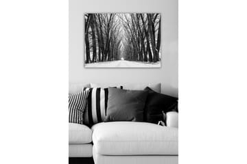 Canvastavla - Karg allé av nakna träd i vinterlandskap - Svart / Vitt / Grått - Inredning - Tavlor & posters - Canvastavla