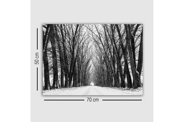 Canvastavla - Karg allé av nakna träd i vinterlandskap - Svart / Vitt / Grått - Inredning - Tavlor & posters - Canvastavla