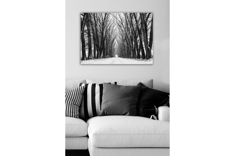 Canvastavla - Karg allé av nakna träd i vinterlandskap - Svart / Vitt / Grått - Inredning - Tavlor & posters - Canvastavla