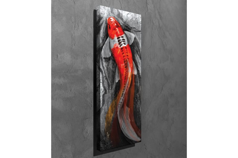 Canvastavla - Karp med starkt röd färg simmande i en dämpad miljö - Röd / Svart / Grå - Inredning - Tavlor & posters - Canvastavla