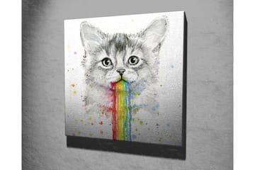 Canvastavla - Katt med regnbågsfärgad spya - Grå / Regnbåge (röd / Orange - Inredning - Tavlor & posters - Canvastavla