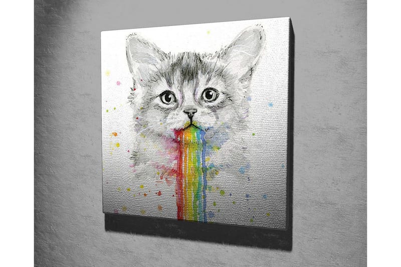 Canvastavla - Katt med regnbågsfärgad spya - Grå / Regnbåge (röd / Orange - Inredning - Tavlor & posters - Canvastavla