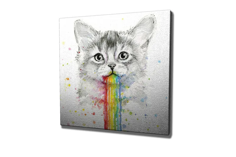 Canvastavla - Katt med regnbågsfärgad spya - Grå / Regnbåge (röd / Orange - Inredning - Tavlor & posters - Canvastavla