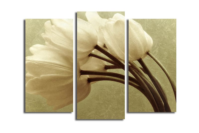 Canvastavla Kitchen 3-pack Flerfärgad - 20x39 cm - Inredning - Tavlor & posters - Canvastavla