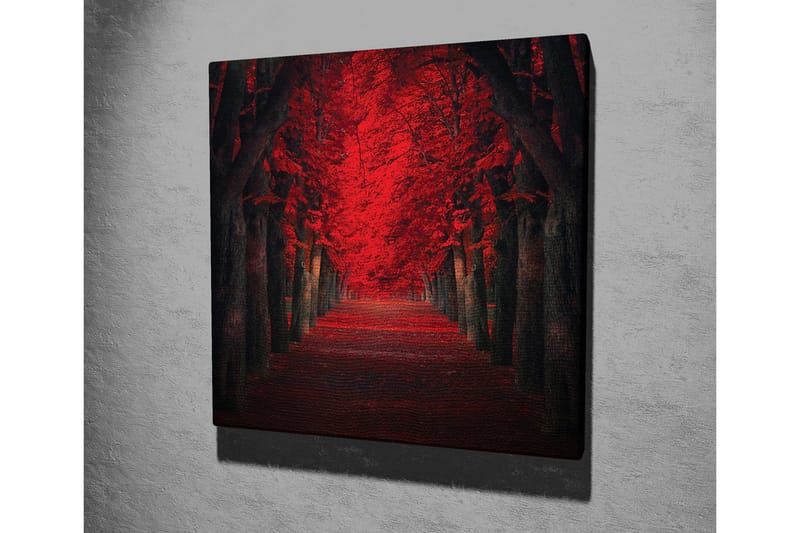 Canvastavla - Lummig allé med intensivt röda träd i höstskrud - Röd / Svart - Inredning - Tavlor & posters - Canvastavla