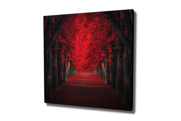 Canvastavla - Lummig allé med intensivt röda träd i höstskrud - Röd / Svart - Inredning - Tavlor & posters - Canvastavla