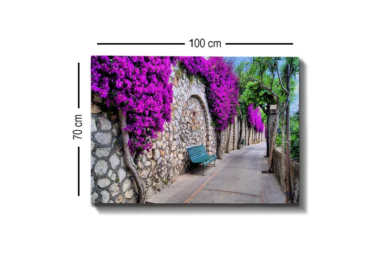 Canvastavla - Lummig gångväg omgiven av blommande bougainvillea - Lila / Grå / Grön - Inredning - Tavlor & posters - Canvastavla