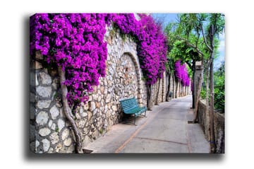 Canvastavla - Lummig gångväg omgiven av blommande bougainvillea - Lila / Grå / Grön - Inredning - Tavlor & posters - Canvastavla