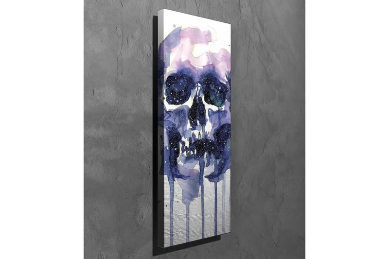 Canvastavla - Mörk och mystisk skalle med stjärnliknande detaljer - Lila / Mörkblå / Vit - Inredning - Tavlor & posters - Canvastavla
