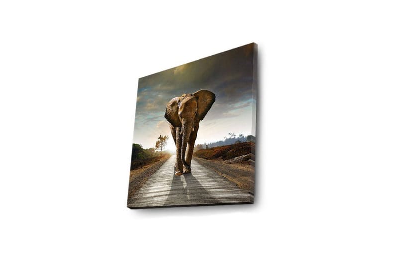 Canvastavla med LED-belysning 28x28 cm - Elefant som går längs en väg i solnedgången - Grå / Brun / Orange - Inredning - Tavlor & posters - Canvastavla