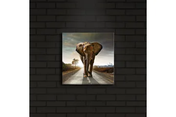 Canvastavla med LED-belysning 28x28 cm - Elefant som går längs en väg i solnedgången - Grå / Brun / Orange - Inredning - Tavlor & posters - Canvastavla