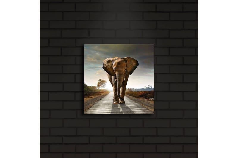 Canvastavla med LED-belysning 28x28 cm - Elefant som går längs en väg i solnedgången - Grå / Brun / Orange - Inredning - Tavlor & posters - Canvastavla