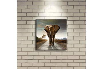 Canvastavla med LED-belysning 28x28 cm - Elefant som går längs en väg i solnedgången - Grå / Brun / Orange - Inredning - Tavlor & posters - Canvastavla